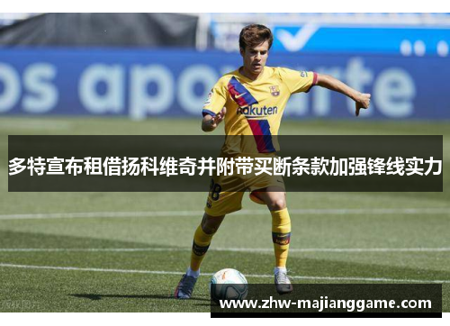 多特宣布租借扬科维奇并附带买断条款加强锋线实力